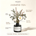 thumbnail image 4 of KBHOMFRA Reed Diffuser 3.38fl.oz Jasmine Scent Home Fragrance Essential Oil, 4 of 9