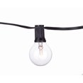 thumbnail image 2 of Aspen Brands SL2525 25 ft. Global Party String Lights - Black & Clear, 2 of 2