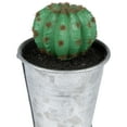 thumbnail image 6 of Northlight 3.5" Tropical Cactus in Tin Pot Artificial Potted Plant - Green/Silver, 6 of 6