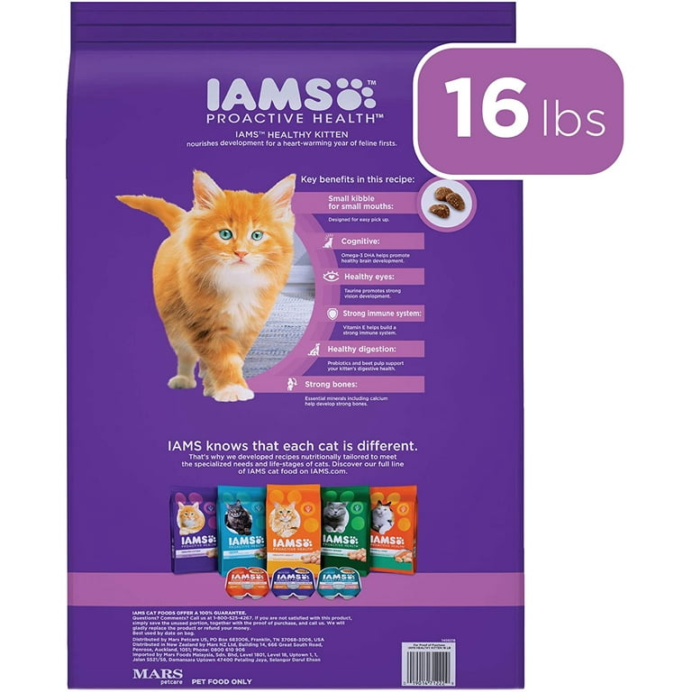 Iams proactive health kitten cheap review