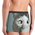 thumbnail image 5 of Disketp Funny Cat Men'S Boxer Briefs,Soft And Breathable Cotton Underwear With Comfortflex Waistband, 5 of 9