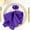 Purple, variant on Efavormart Pack of 5 PURPLE Premium 17" x 17" Washable Polyester Napkins Great for Wedding Party Restaurant Dinner Parties