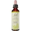 Bach Original Flower Remedies 20mL Dropper, White Chesnut