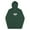 Alpine Green, variant on Pullover Premium Mens Hoodie