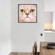 thumbnail image 3 of Cuadros Decorativos Kits de pintura de diamante 5D DIY Taladro redondo completo Mosaico de gato de cara grande (X635) Tmvgtek embutido en tela, 3 of 9
