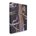 thumbnail image 4 of Stupell Industries Owl in Rustic Tree Animals & Insects Painting Gallery Wrapped Canvas Art Print Wall Art, 24 x 30, 4 of 8