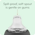 thumbnail image 3 of NUK Learner Cup, 5oz, 2 Pack, Soft Spout Sippy Cup, Unisex, 3 of 5