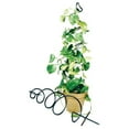 thumbnail image 4 of Achla Designs Spiral Wrought Iron Garden Plant Trellis, 8 x 42 Inch, Black, 4 of 6