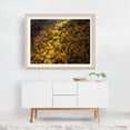 thumbnail image 3 of Ray - Photography Autumn Forest Nature Woodland Scenic Woods Landscape Unframed Wall Art Print 24 x 30 inches, 3 of 4