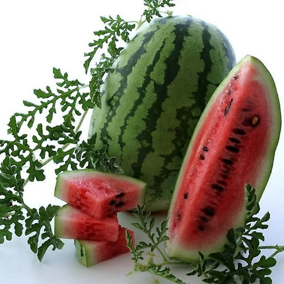 Bush Jubilee Watermelon Seeds- 2 g ~16 Seeds - Non-GMO, Open Pollinated, Heirloom, Vegetable / Fruit Gardening Seeds