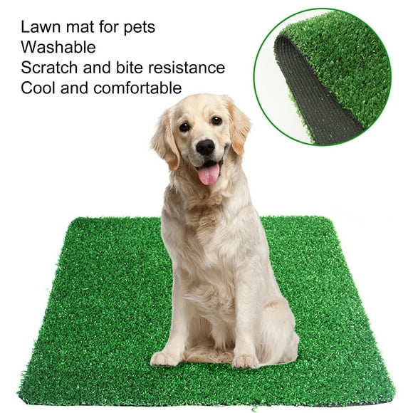 CBFFDC Toilet Dog Grass Pad Dog Toilet Easy to Clean Comfortable Plastic Puppy Potty Trainer with Artificial Lawn Grass Pad