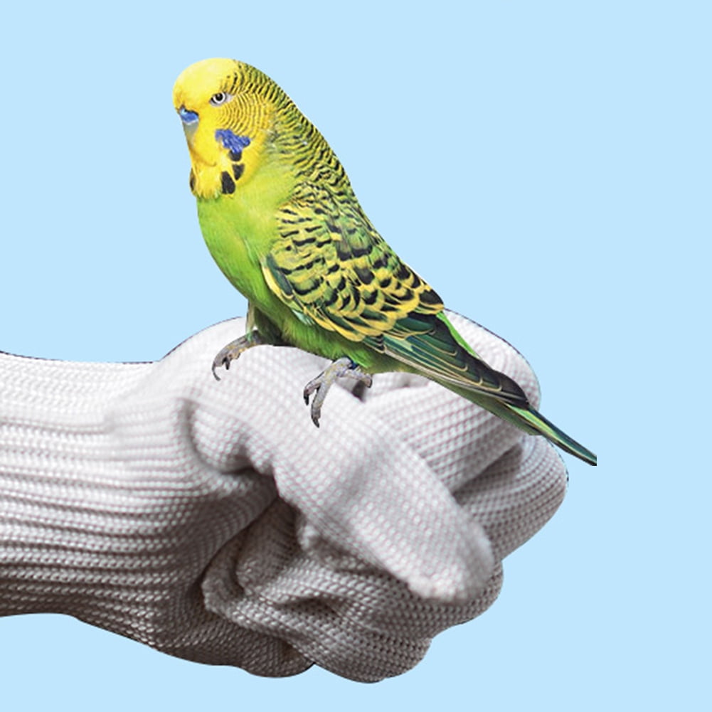 Akoyovwerve Bird Training AntiBite Gloves Small Animal Handling Wire
