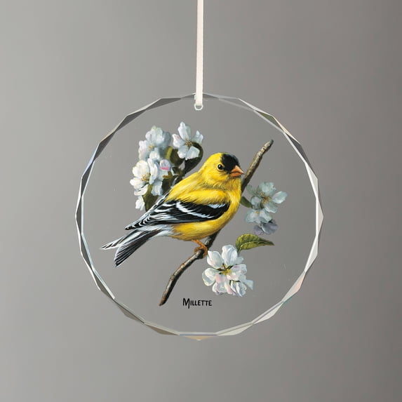 Spring - Goldfinches