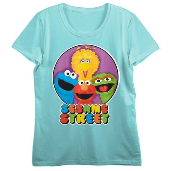 Sesame Street Chalk Art Characters Women's Mint Short Sleeve Tee-XL