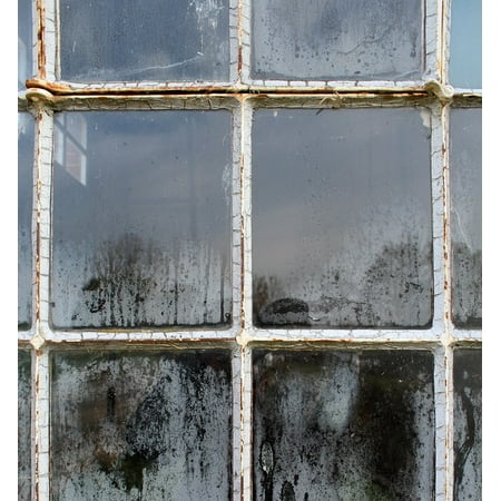 Dusty Citrine Glass LAMINATED POSTER Old Glass House Structure Dusty Dirty Window Poster Print 24 x 36 ()