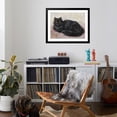 thumbnail image 4 of Art.com Black Persian Cat Art Print, Black Frame Wall Art, 40" x 32", 4 of 5