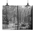 thumbnail image 2 of Print: National Zoological Park, Washington, D.C., circa 1918-1920, 2 of 4