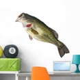 thumbnail image 1 of Outlined Bass Wall Decal by Wallmonkeys Peel and Stick Graphic (36 in W x 30 in H) WM263523, 1 of 4
