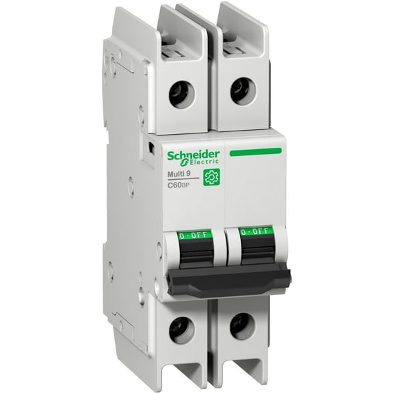 Schneider Electric M9F42215 C60BP Multi-Standard Miniature Circuit Breaker