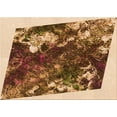 thumbnail image 1 of Ahgly Company Indoor Rectangle Patterned Blood Red Brown Area Rugs, 7' x 10', 1 of 6