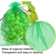 thumbnail image 2 of 50 unidades Bolsa protectora para racimos de uvas, 30x20 cm, Color: Verde, Con cordón, Da P, 2 of 5