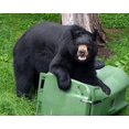 thumbnail image 3 of Trash Lock TrashLocker Original con tapa de dos correas, negro, 3 of 9