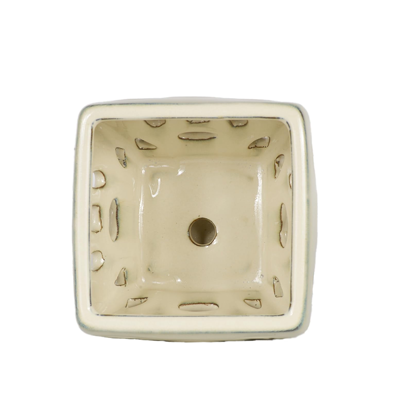 W&W Orchid Pot with Holes and Saucer for Orchid Repotting and Better Grow, White, 5.5 inches