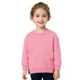 thumbnail image 3 of Wdgfv Toddler Baby Boy Girl Pullover Sweatshirt Solid Color Crewneck Blouse Shirt Tops Warm Fall Winter Clothes Pink 6-9 Months, 3 of 7