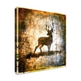 thumbnail image 4 of LightBoxJournal 'High Country Deer' Canvas Art, 4 of 4
