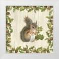 thumbnail image 1 of Ducklow, Patsy 15x15 White Modern Wood Framed Museum Art Print Titled - Woodland Critter I, 1 of 4