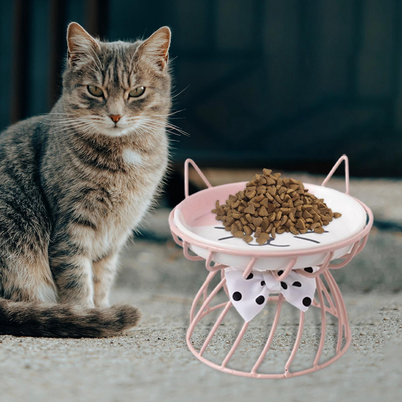 Fzaqwen Pet Ceramic Bowl Pet Bowl Cat Raised Elevated Feeder Cat Dog B Pink