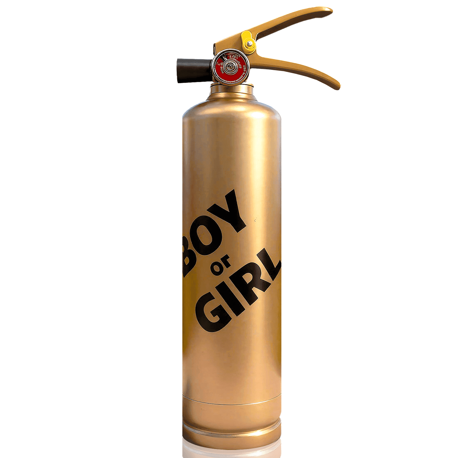 Previvo Gender Reveal Fire Extinguisher, 23oz Blue Color Powder Cannon, Large Capacity Gold Canister Baby Gender Reveal Party Supplies