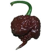 Chocolate Carolina Reaper HP22B Pepper Premium Seeds Packet Record Hottest in The World