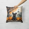 thumbnail image 2 of Affenpinscher Spooky Halloween Fabric Decorative Pillow 18 in x 18 in, 2 of 5