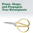 thumbnail image 4 of Houseplant Scissors And Pruning Shears - Plant Clippers, Trimmers, Loppers Style1, 4 of 5