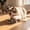 Black, variant on Wood Toothbrush Cats Toys For Bored Indoor Adult Cats, Mint Chewable Automatic Cat Toy Dental Teaser Supply, Cat Laser for Kitten Boredom Interactive Play