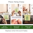 thumbnail image 6 of Mint Cooler - Room Deodorizer Gel Odor Eliminator For Home - Bathroom Air Freshener Odor Absorber - Closet Deodorizer - Long Lasting Non Plug In Strong Scent For Kitchen Trash Basement Rv Smell, 6 of 14