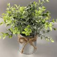 thumbnail image 1 of mmirethe 3x Simulated Potted Plants For Restaurants Clear Texture Easy To Install Not, 1 of 6