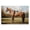 Show Ready Horse Portrait, variant on Stupell Industries Traditional Red Mare in Pastoral Landscape Canvas Art, 24 x 16, by Petals Prints Design