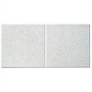 Armstrong Ceiling Tile,48 in L,24 in W,PK6 510A