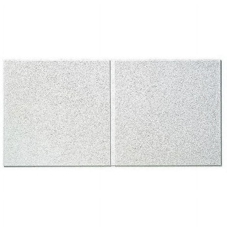 Armstrong Ceiling Tile,48 in L,24 in W,PK6 510A