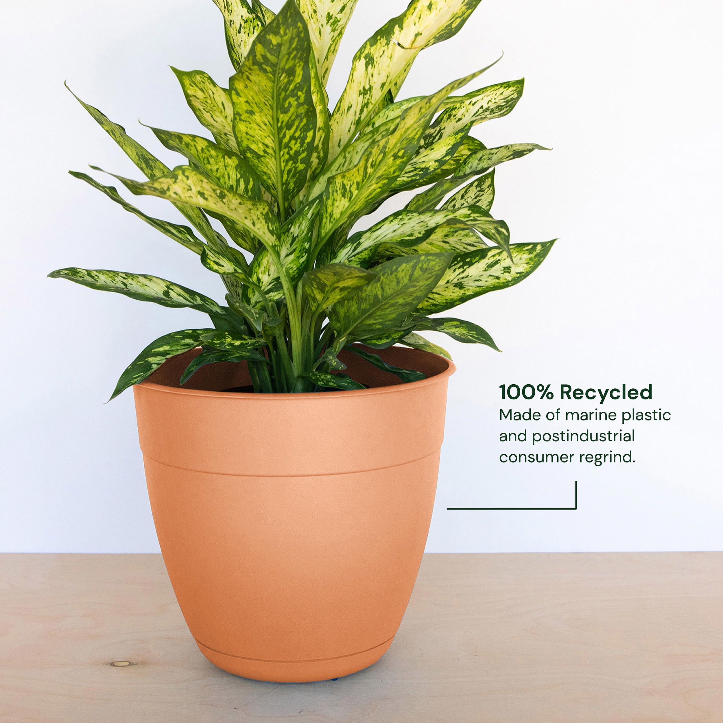 Bloem 20-in Dayton 100% Recycled Plastic Planter with Saucer - Coral Color