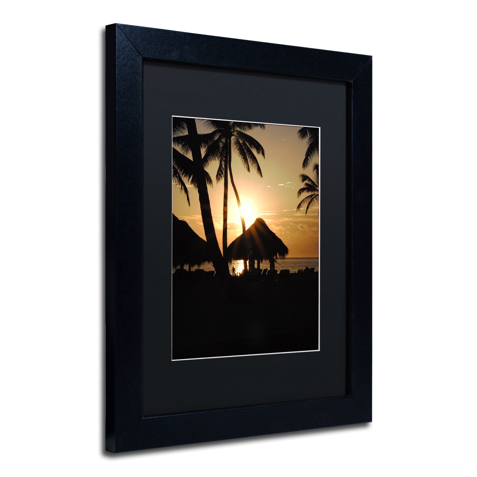 Trademark Fine Art "Majical" Canvas Art by Monica Mize, Black Matte, Black Frame
