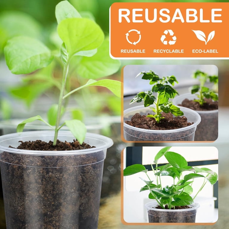 Clear Plastic Nursery Pots with Drainage Holes, 45-Pack photo 4