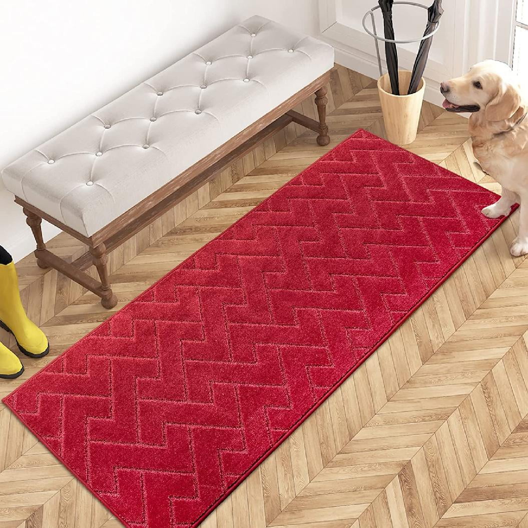 NonSlip Machine Washable Entrance Rug, Shoes Scraper, Dog Door Mat