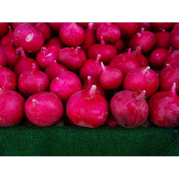 Purple Plum Radish Seeds/ Perennial/ Full Sun/200 Seeds 2 Grams/ Zellajake Farm and Garden - B279