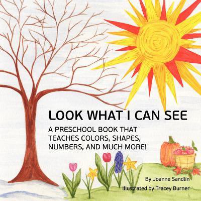Pre-Owned Look What I Can See: A Preschool Book that Teaches Colors, Shapes, Numbers, and Much More! (Paperback) 1480276987 9781480276987