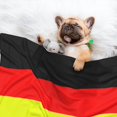 thumbnail image 2 of Pet Blanket German Flag Germany Soft Warm Sofa Car Bed Protector Washable for Puppy Large Dogs Cats, 2 of 7
