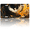Phoenix in Abstract, variant on 1 Pcs 2D Flat License Plate Covers & Frames, Statue of Liberty with Wings For Decorative Front, Waterproof For Decoration Aluminum License Plate Covers & Frames Cover For Men Women, 12" X 6"