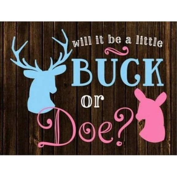 Mossy Pink Mossy Gender Reveal Buck or Doe Cake Topper Edible Frosting Image 1/4 Sheet